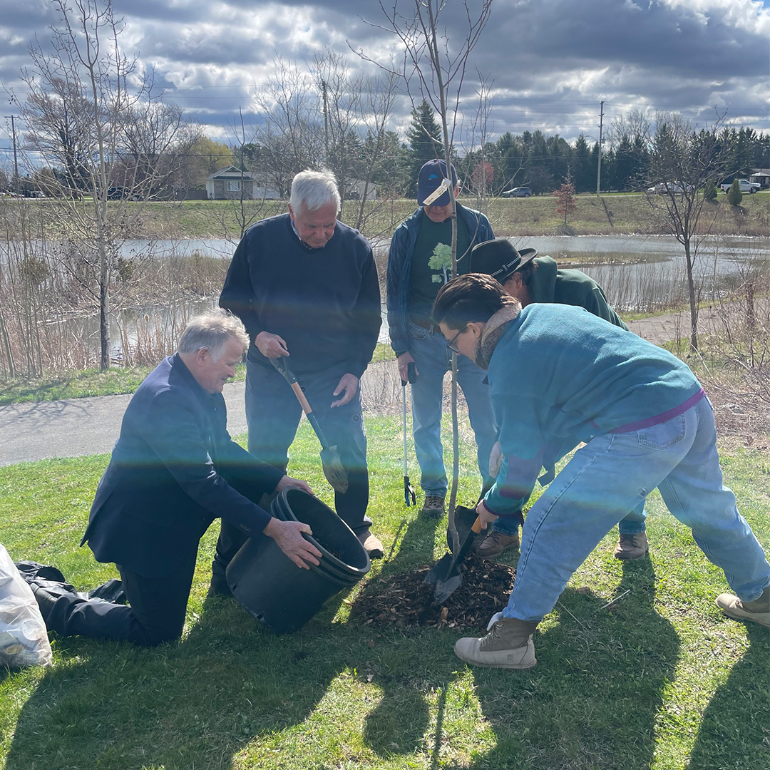 Plantation protocolaire à Pelham