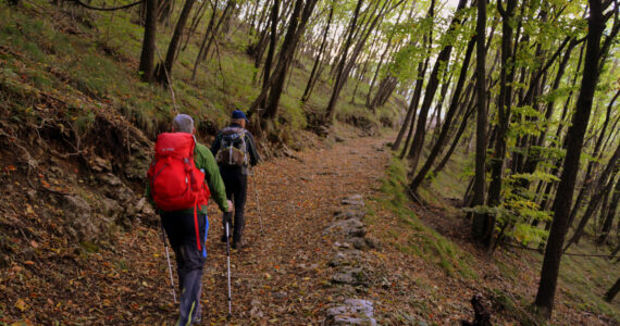walking-with-sticks-the-european-path-e5-photo-original